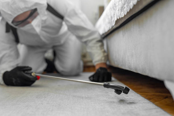 Professional Bed Bug Control technician working in Belington, WV
