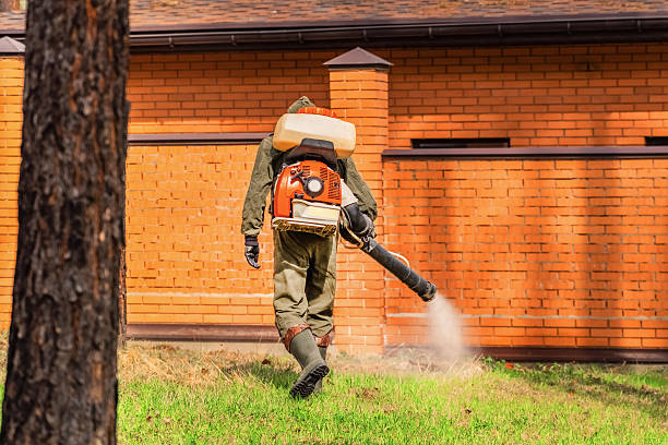 Trusted Bed Bug Control service in Belington, WV - Nex Pest Control